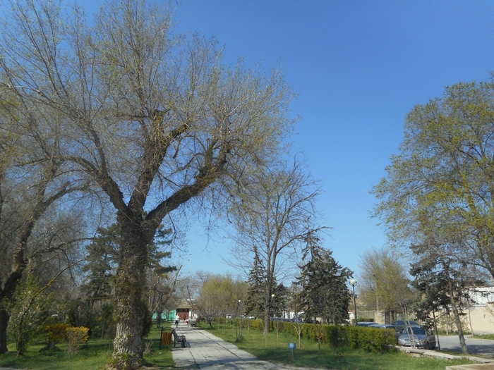 4878453_ukr_1017 (700x525, 327Kb)