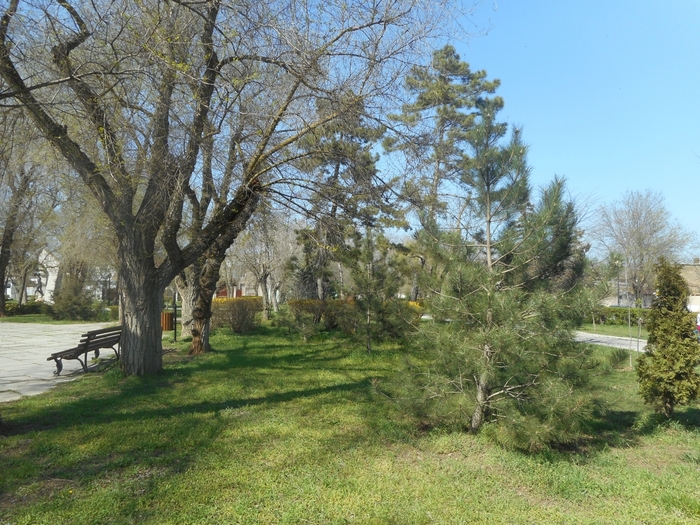 4878453_ukr_1019 (700x525, 355Kb)