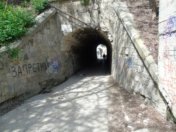 DSC04313 (700x525, 394Kb)