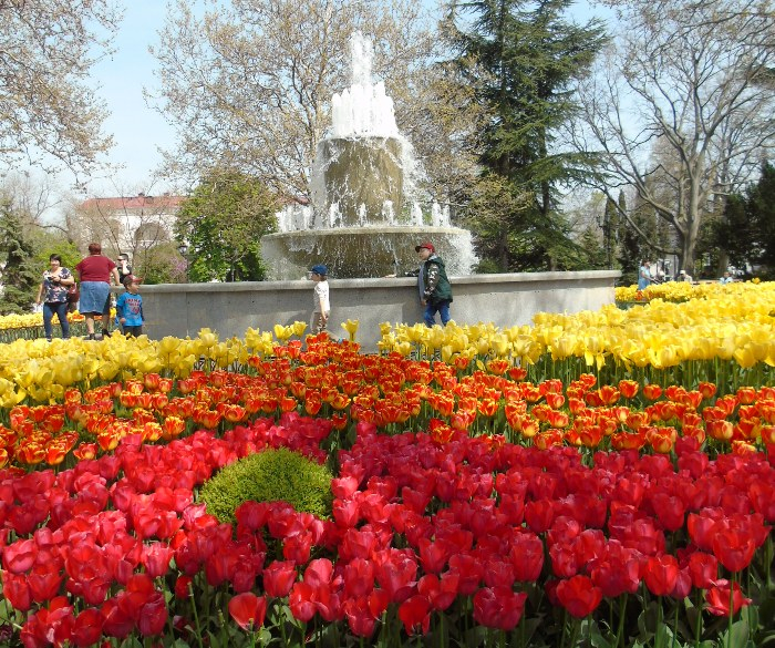 DSC04334 (700x585, 650Kb)