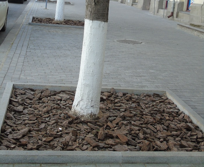 DSC04429 (700x576, 410Kb)