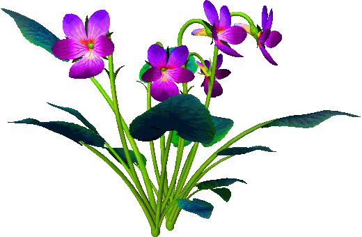 143898759_fleur98 (520x340, 65Kb)