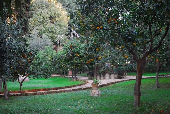 Апельсиновый сад в риме фото