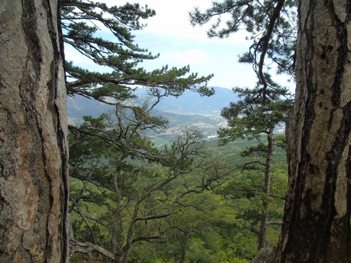 DSC06293 (700x525, 429Kb)