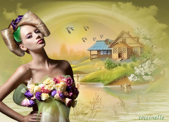 Image300 (700x505, 68Kb)