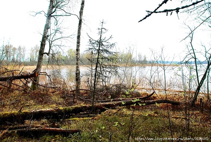 _DSC_0192 (700x469, 359Kb)