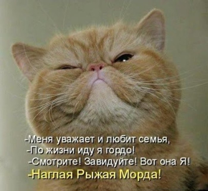 3416556_i_3_ (700x643, 81Kb)