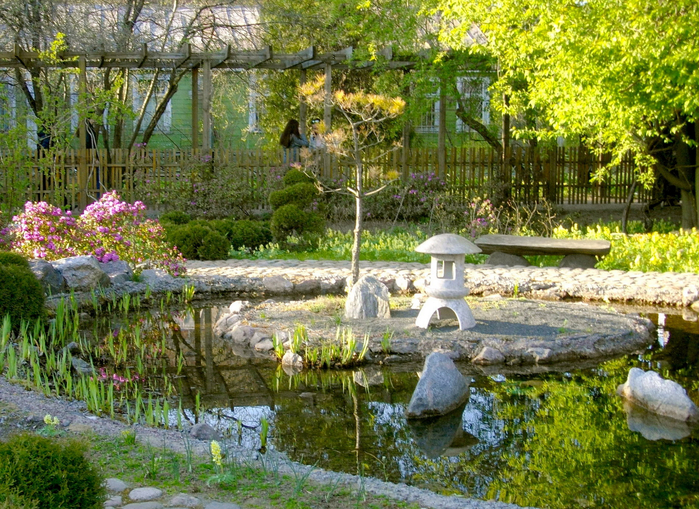 Фото японского сада в ботаническом саду