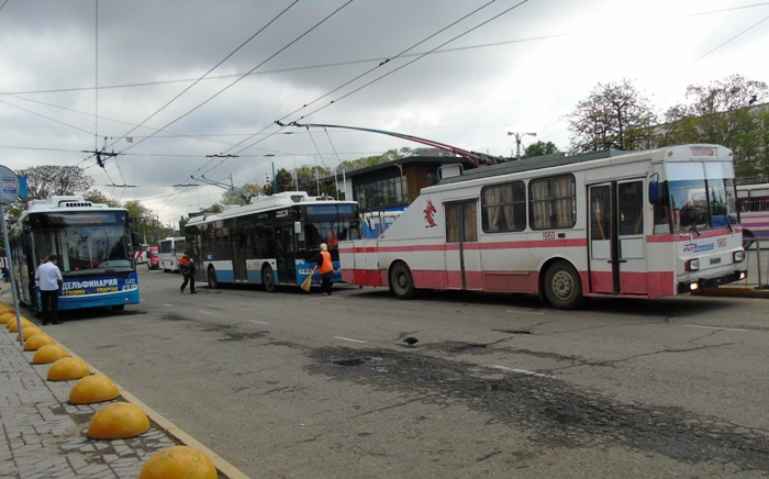 DSC07372 (700x436, 289Kb)