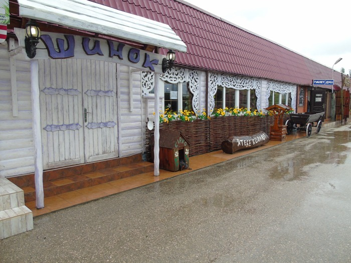 DSC00355 (700x525, 358Kb)