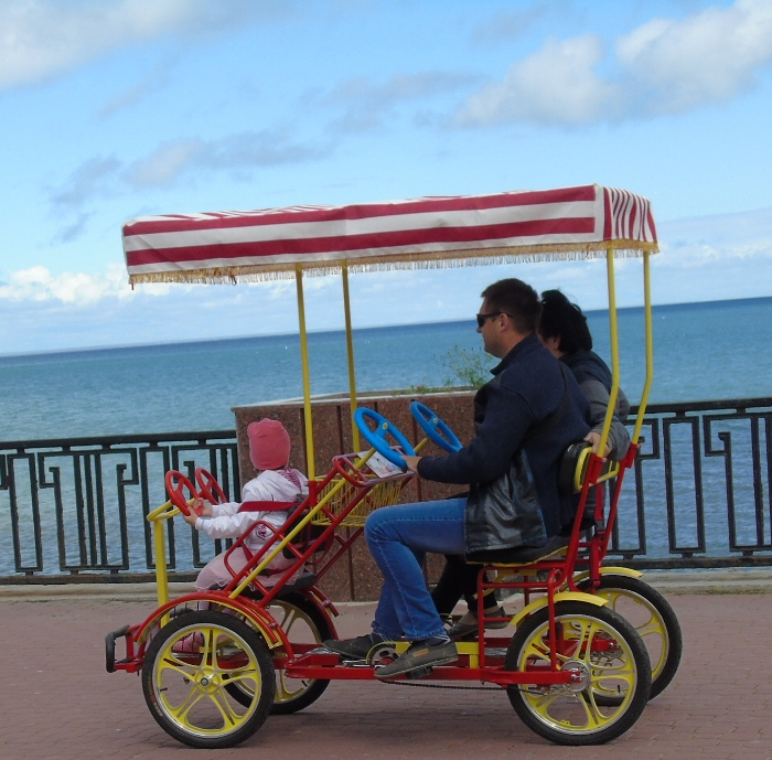 DSC00528 (700x689, 467Kb)