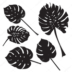  depositphotos_125782102-stock-illustration-silhouette-tropical-monstera-leaves-black (700x700, 182Kb)