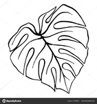  depositphotos_179366634-stock-illustration-monstera-leaf-tropical-plant-ink (658x700, 171Kb)