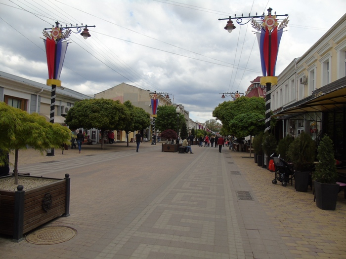 DSC00955 (700x525, 319Kb)