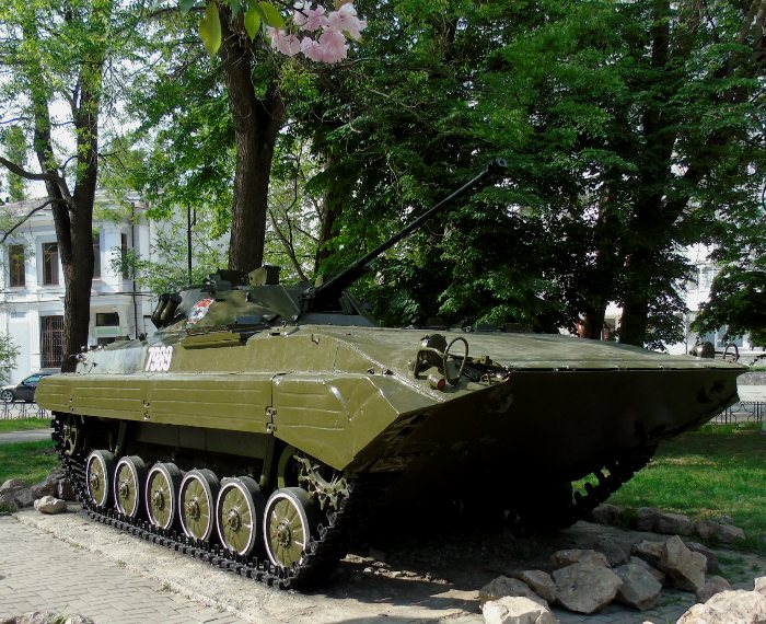 DSC01045 (700x570, 510Kb)