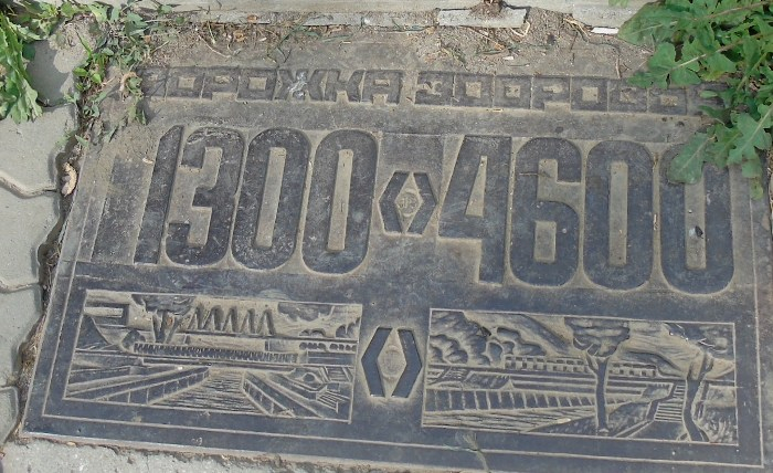 DSC01063 (700x428, 332Kb)