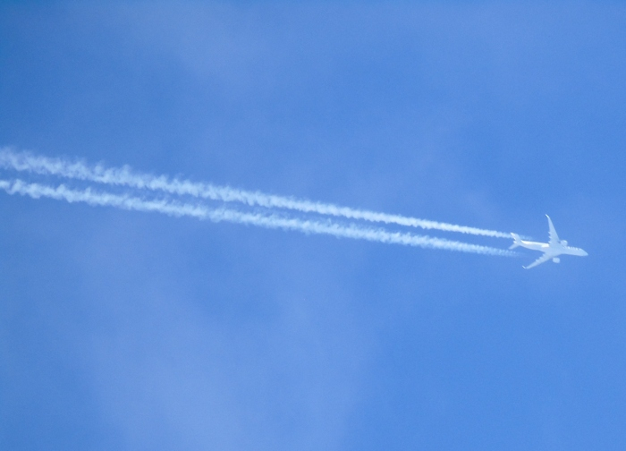 DSC01742 (700x504, 200Kb)