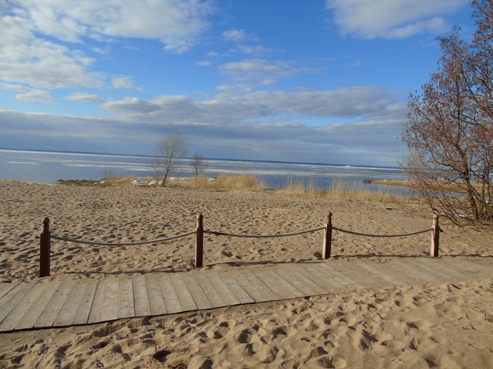 DSC01768 (700x525, 384Kb)