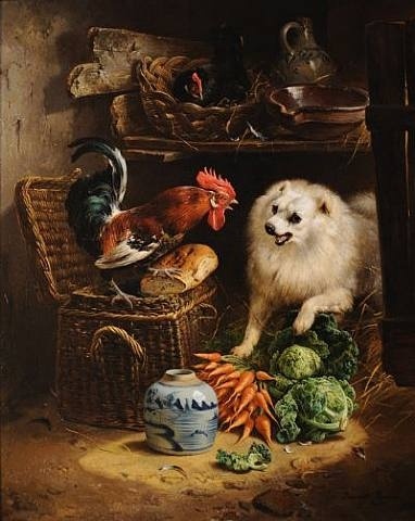 39676eb6f2eb0e8846685e21729888ef--chicken-art-pomeranians (382x480, 66Kb)