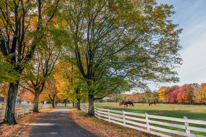 ___media_upload_states_maryland__rural_scene (700x467, 497Kb)