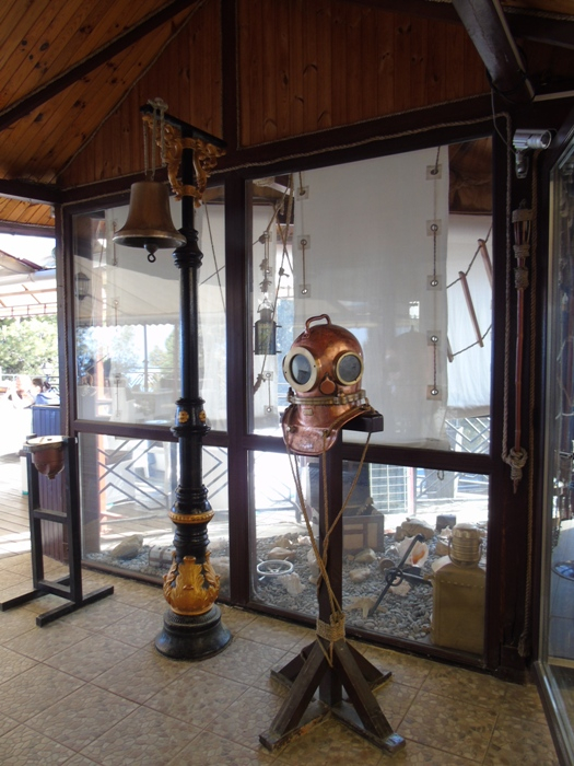 DSC06111 (525x700, 365Kb)