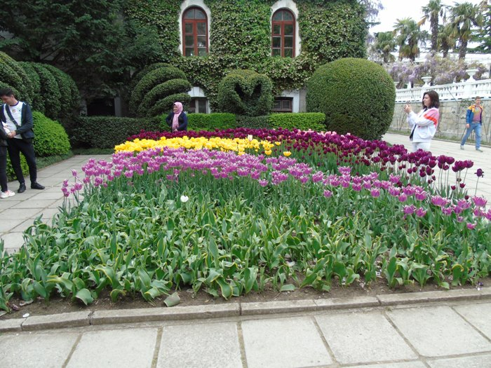 DSC06748 (700x525, 470Kb)
