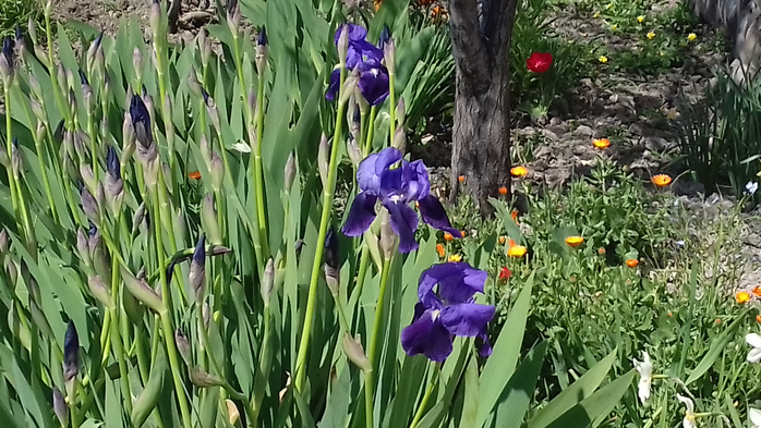 20190406_105312 (700x393, 394Kb)