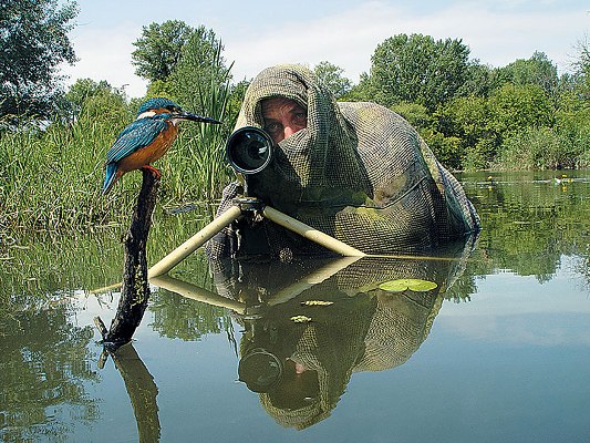  Фотоохота на диких животных. Лучшие фото National Geographic