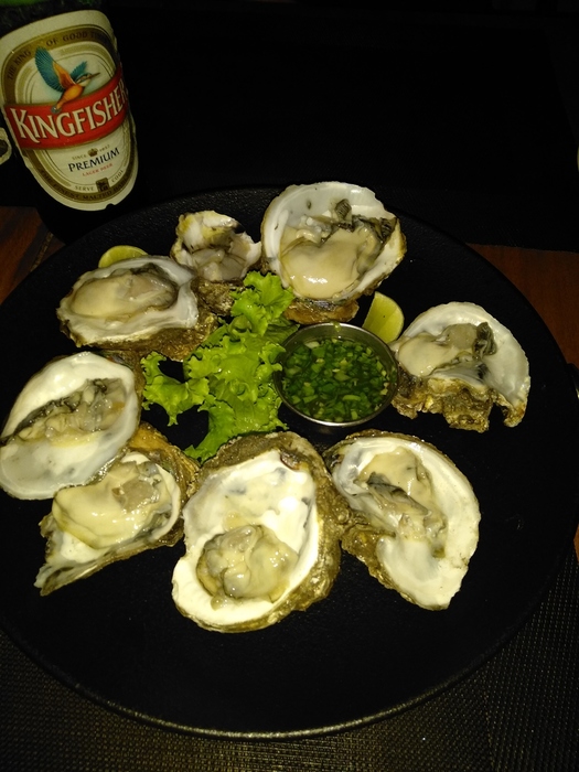 IMG_20190319_195257 (525x700, 173Kb)