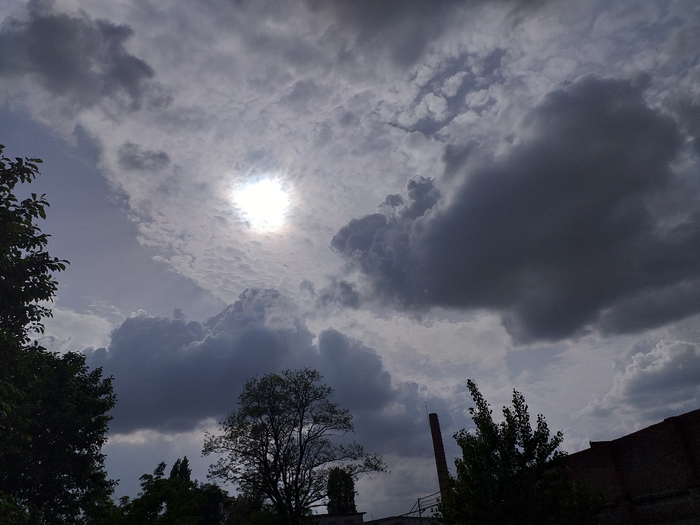 20190508_160637 (700x525, 294Kb)