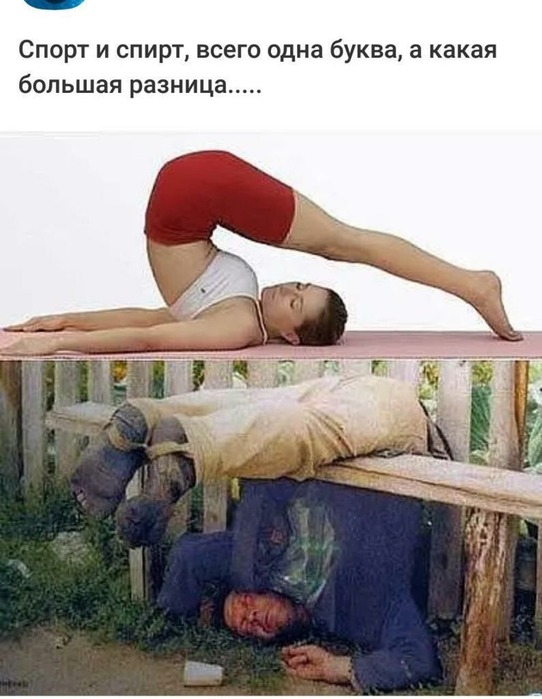    (542x700, 87Kb)