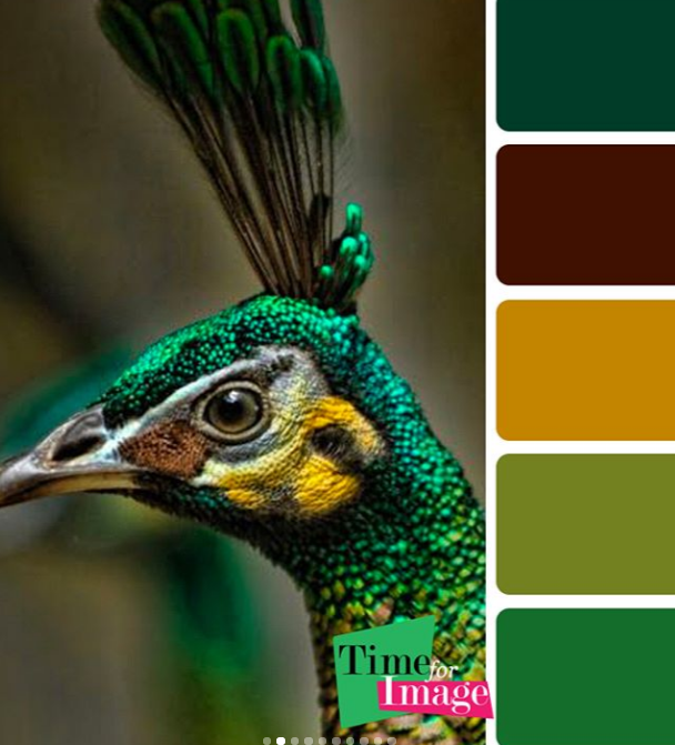 Снимок (608x671, 666Kb)