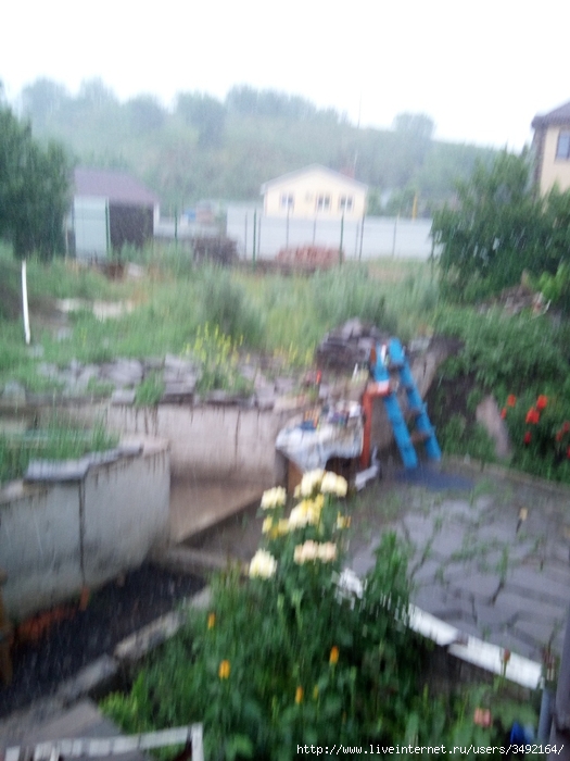IMG_20190525_150941 (525x700, 232Kb)