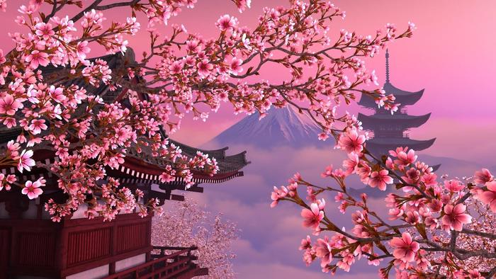 1559136898_1 (700x394, 71Kb)