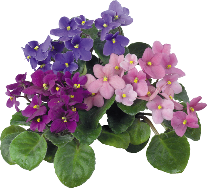 0_3d5c7_b165e7ca_XL.jpg (700x635, 592Kb)