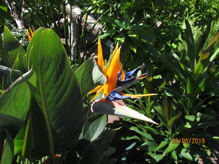 1559253310_IMG_5112 (700x525, 142Kb)