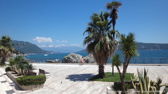 DSC07523 (700x393, 205Kb)