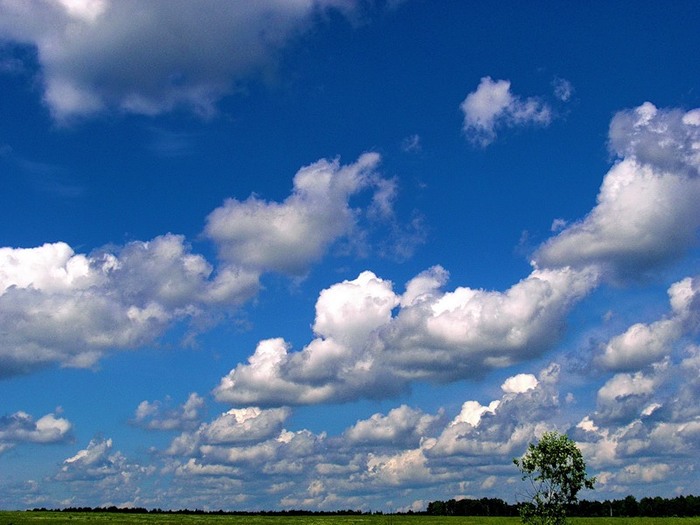 0_29ce7_741882cb_XL (700x525, 87Kb)