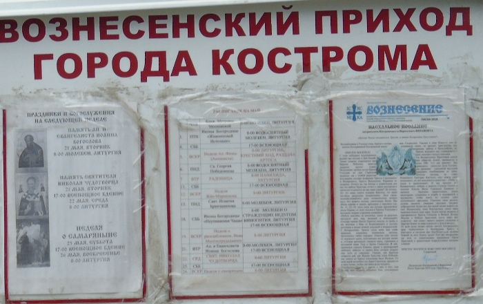 DSC01976 (700x440, 302Kb)