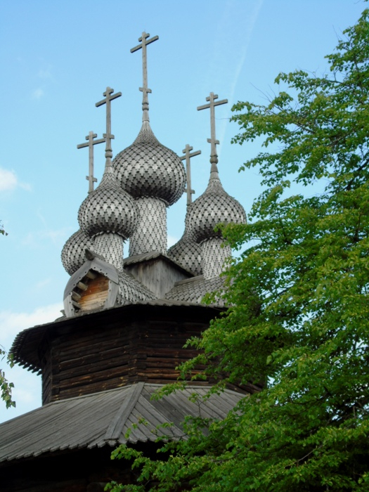 DSC02118 (525x700, 406Kb)