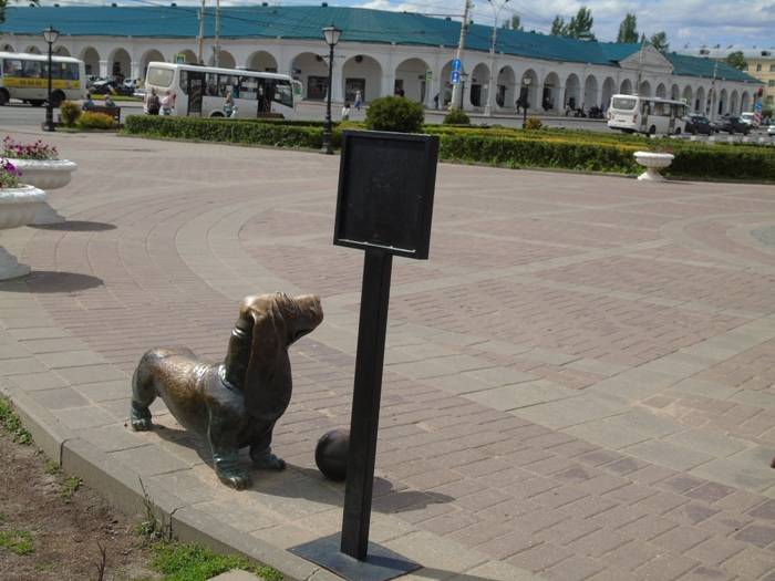 DSC02415 (700x525, 335Kb)