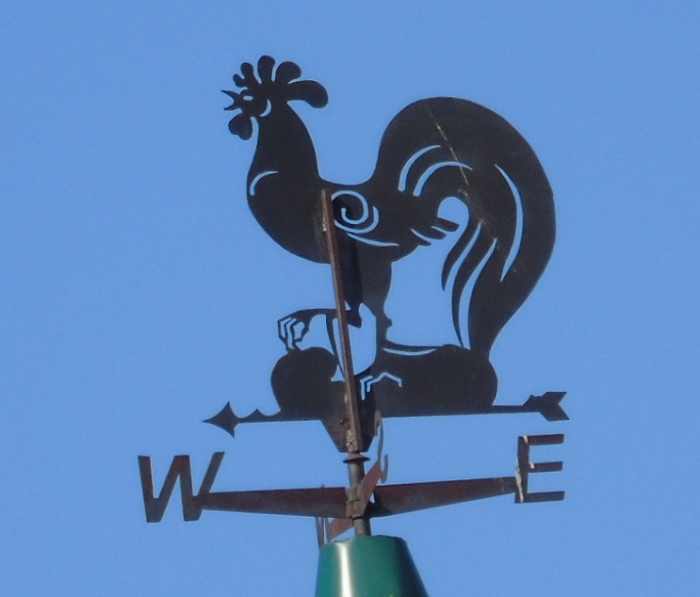 DSC02517 (700x597, 253Kb)