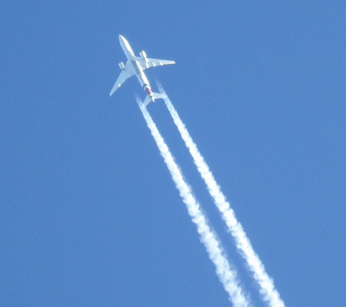 DSC02759 (700x621, 228Kb)