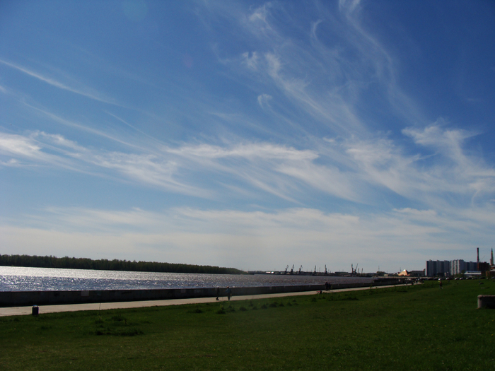 DSC02872 (700x525, 368Kb)
