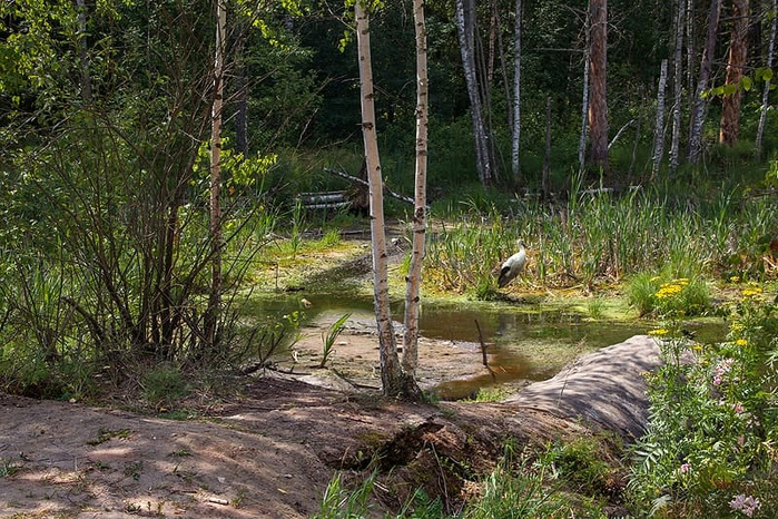 xudozhnik_Valerij_Niminuchij_10 (700x466, 490Kb)