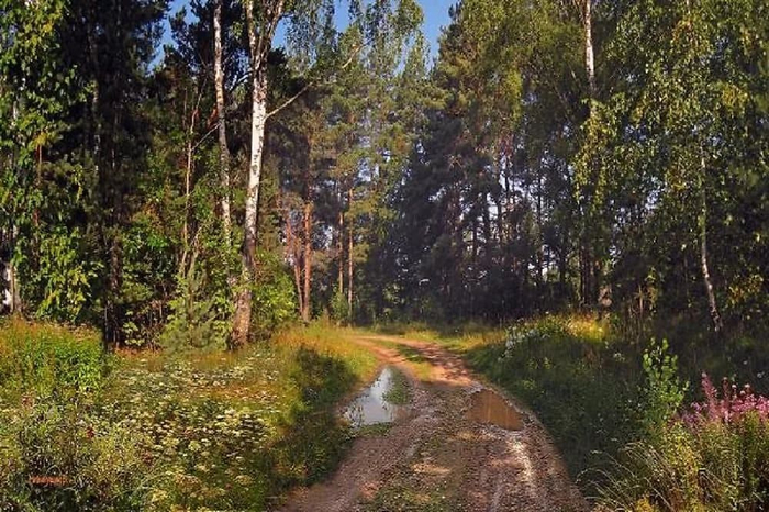 xudozhnik_Valeriy_Niminuchiy_15 (700x466, 432Kb)