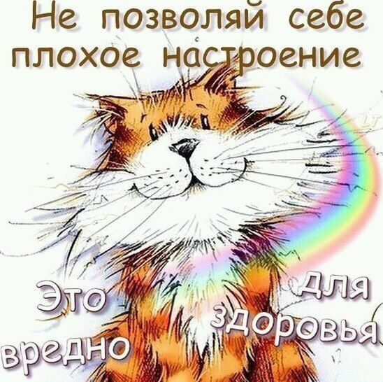 6027309b048108423c44d0ffbe3156ec (548x546, 76Kb)