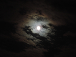  DSCN9500 (700x525, 230Kb)