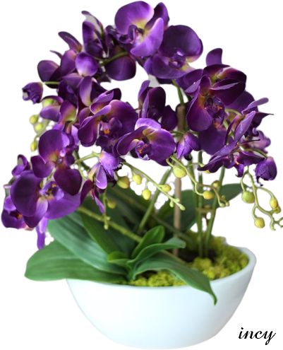 lila orchideák (401x495, 380Kb)