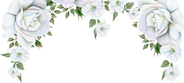 oie_1784817IfKqlGYC (641x289, 205Kb)